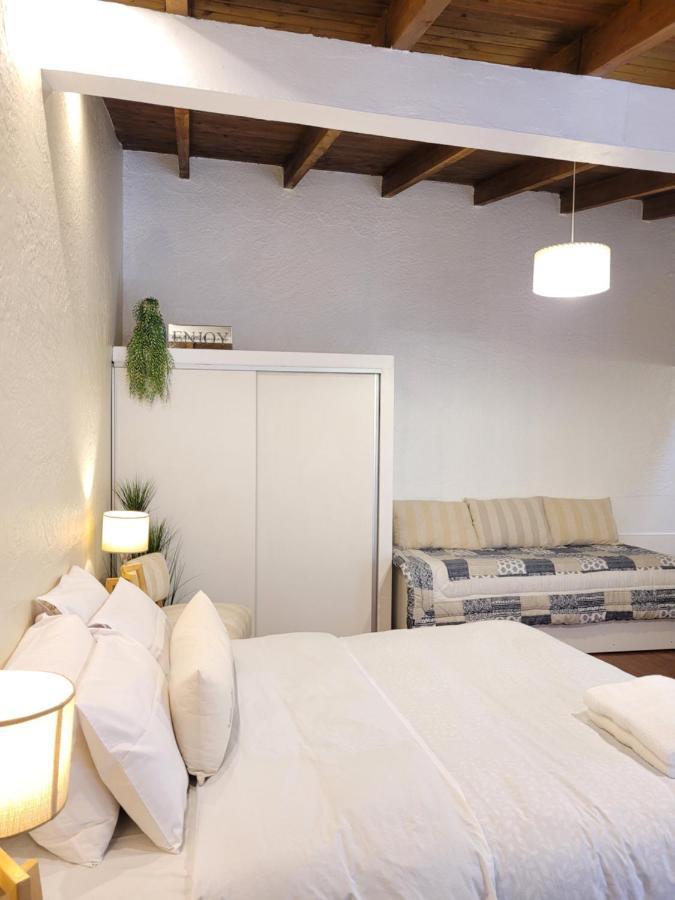 "Casa Amalia Apartamentos" Plaza Italia Y Av Aristides A 50Mts, Lugar Con Jardin Mendoza Exterior photo